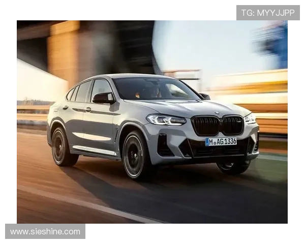 2.0T+245马力，大尺寸家用SUV，原装进口，豪华品牌，实拍宝马X4