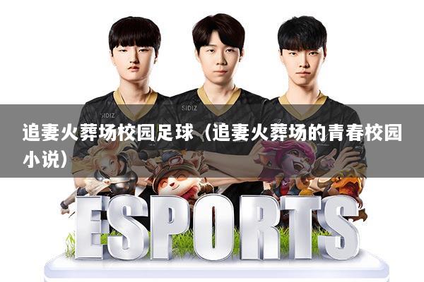 追妻火葬场校园足球（追妻火葬场的青春校园小说）