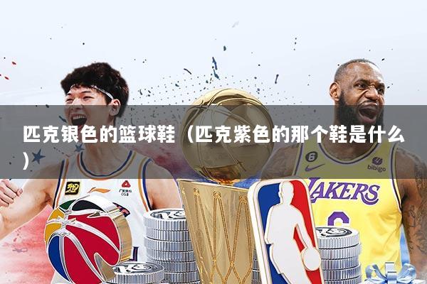 匹克银色的篮球鞋（匹克紫色的那个鞋是什么）